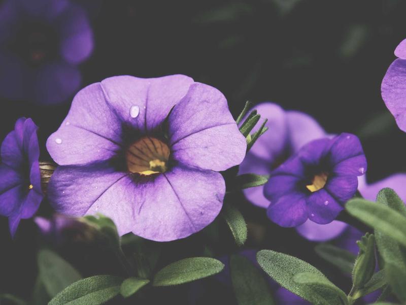 windows screenshot 2