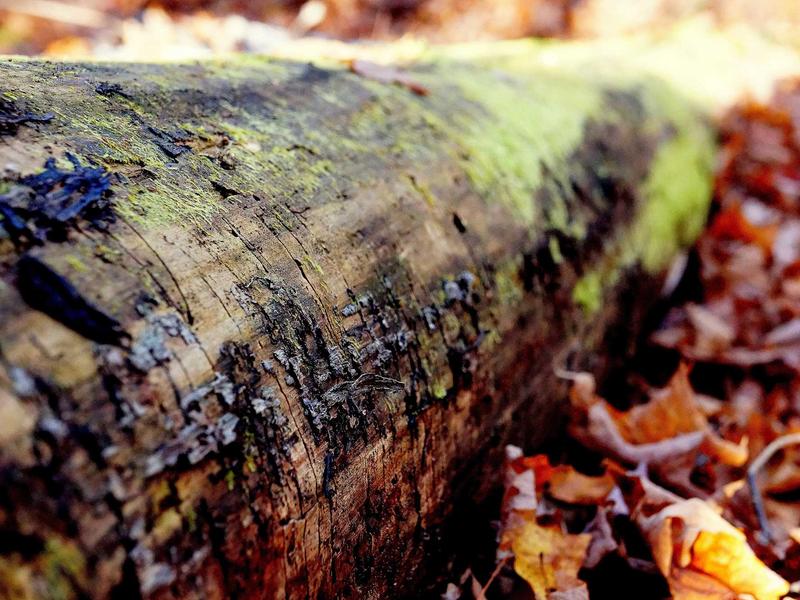 sudoku solving methods screenshot 1